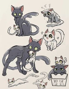 an image of cats with different expressions on their faces and body, in various poses