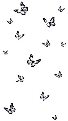 many blue butterflies flying in the sky