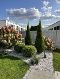 some bushes and trees in a small yard