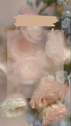 some pink and blue flowers on a window sill with water droplets around them,