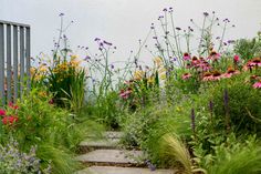 a garden with flowers and grass next to a building