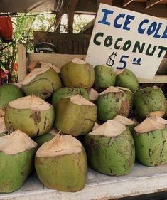 a pile of coconuts sitting on top of a table next to a sign that says ice cold coconut $ 5