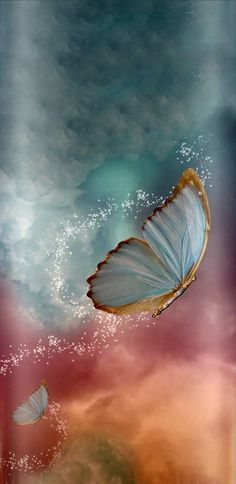 two white butterflies flying in the sky with clouds and water behind them, as if they were looking at each other