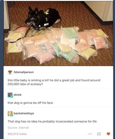 a dog laying on the floor next to bags of diapers