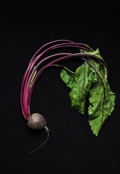 beets and leafy greens on a black background