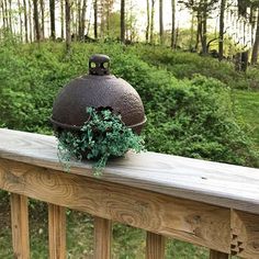 a potted plant sitting on top of a wooden rail next to a forest filled with trees