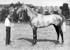 a man standing next to a horse in a field with the caption tetratema