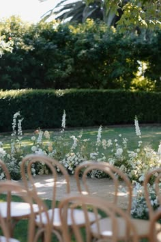 rows of chairs are lined up in the grass with white flowers on each one side