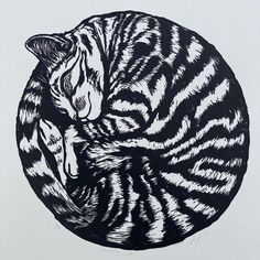 a black and white drawing of a cat curled up in a circular shape with its head resting on it's paw