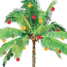 a palm tree with red and yellow ornaments on it