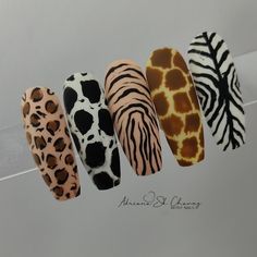 Animals Print Nails, Animal Nail Designs Disney, Animal Pattern Nails, Safari Nails Jungle, Nail Stuff Organization, Giraffe Print Nails, Tiger Nails Designs, Zoo Nails, Zebra Print Nails Designs