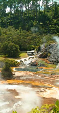 steam rises from the ground in front of a body of water surrounded by wooded area