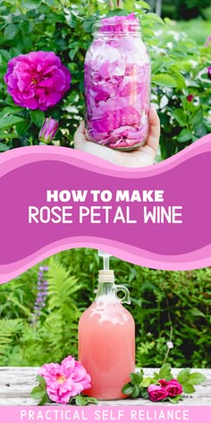 fresh summer rose petals in a mason jar and a glass carboy with an airlock fermenting homemade rose petal wine next to rose flowers in summer. Herbal Mead Recipe, 1 Gallon Mead Recipe, Rose Wine Recipes, Pokemon Food, Wine At Home