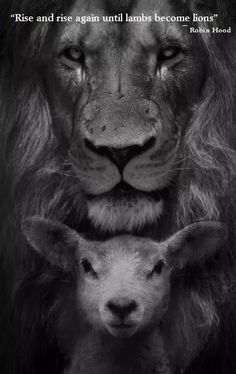 a lion and its baby are shown in black and white