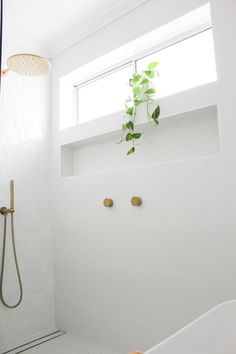 a bathroom with a shower, toilet and bathtub next to a plant on the wall