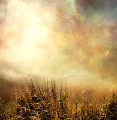 a field with grass and clouds in the sky, as if it were an abstract painting