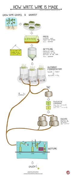 a diagram showing how wine is made