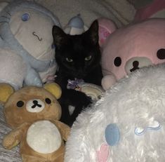 a black cat is sitting among stuffed animals