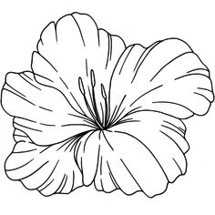 a flower that is in the shape of a hibish on a white background