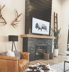 a living room with two deer heads on the wall and a television mounted above it