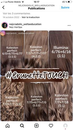 Mushroom Brown Wella, Wella Brown Hair Color Chart, Wella Professional Color, Wella Illumina Color Chart, Wella Formulas Brown, Wella Hair Formulas, Koleston Perfect Formulas