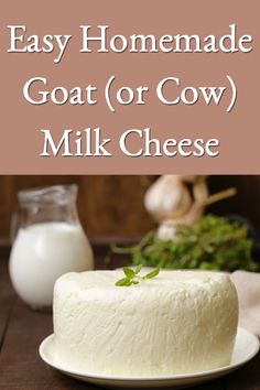 homemade goat or cow milk cheese on a plate