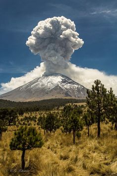 México D.F. Abril 3, 2015 Popocatépetl Wild Nature, Natural Phenomena, Mexico Travel, Aruba, Barbados, Natural World, Amazing Nature, Mother Earth