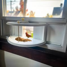 a bird is perched on top of a window sill