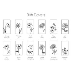 the different types of flowers are shown in black and white, with each flower's name