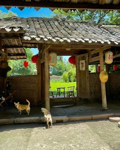 two dogs standing in front of a wooden structure with lanterns hanging from it's roof