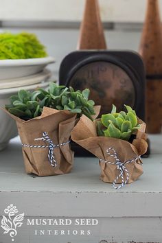 three succulents wrapped in brown paper are sitting on a table