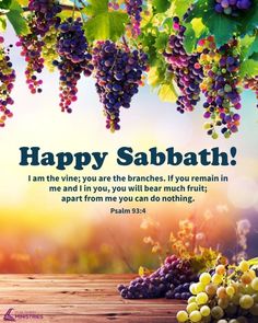 a bunch of grapes hanging from a tree with the words happy sabath on it