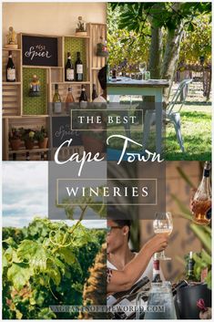 the best cape town wineries