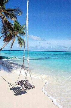 a hammock hanging from a palm tree on the beach next to the ocean