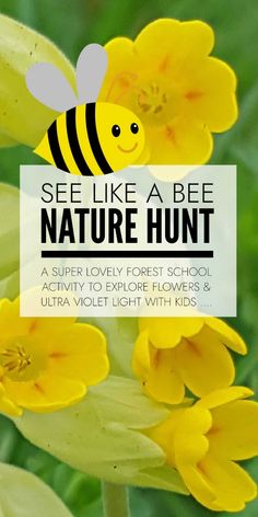 a yellow flower with a bee on it and the words see like abe nature hunt