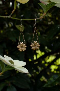 These are wonderfully detailed dogwood flower earrings for all you fellow dogwood tree lovers, flower lovers, and botanical besties out there. They are a great medium size dangle earring and are super lightweight, yet durable, made of solid (not plated) raw brass with solid sterling silver ear hooks. There are two finishes you can choose from either with a patina to enhance the antique feel and highlight the texture, or shiny. Please select your preference from the drop down menu length: 2 1/2 i Pierced Brass Flower Earrings For Wedding, Brass Flower Earrings For Wedding, Elegant Brass Flower Earrings Nickel Free, Wedding Brass Flower Earrings, Vintage Flower Earrings, Wedding Flower Earrings In Brass, Vintage Flower Earrings With Ear Wire For Wedding, Nickel Free Brass Flower Earrings, Flower Shaped Brass Earrings For Wedding