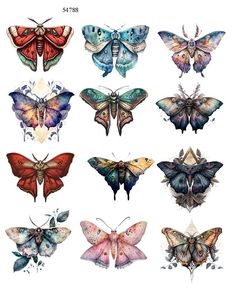 many different colored moths are shown in this drawing technique, and each one has its own image