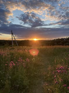 the sun is setting over a field with wildflowers