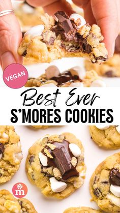 the best ever s'mores cookies with chocolate and marshmallows