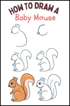 how to draw a baby mouse for kids with pictures and instructions on the front cover