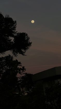 the moon is setting behind some trees in front of a building with a metal roof