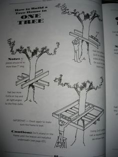 an open book with instructions on how to build a tree