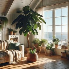 a living room filled with lots of plants next to a large window covered in sunlight