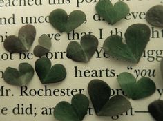 some green leaves are laying on top of an open book with the word love written in it