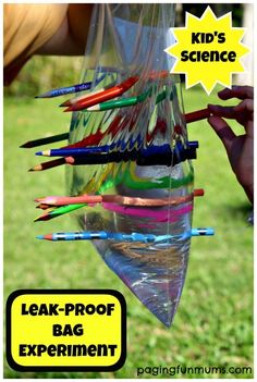 a kid's science experiment with lots of colored pencils in a clear bag