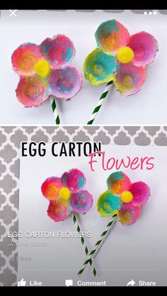 the facebook page for egg carton flowers is shown with two paper flowers on it