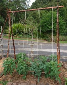 an old wooden frame with plants growing in it on the side of the road next to some rocks