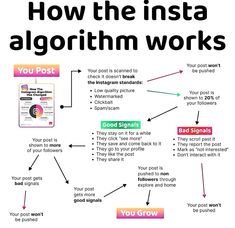 the insta algorithm works diagram