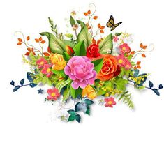 colorful flowers and butterflies on a white background