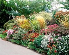 an assortment of colorful flowers and plants in a garden area next to a paved road